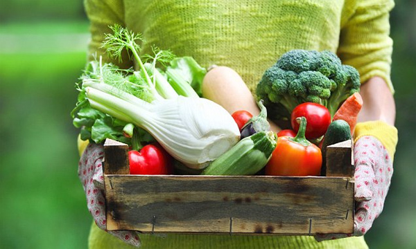 How To Reduce Tummy Fat