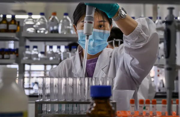 HKU5-CoV-2 Detected in China