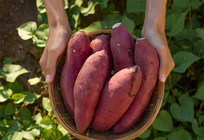 Health Benefits of Sweet Potatoes
