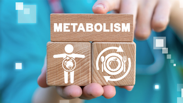 How To Fast Metabolism Naturally
