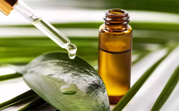 Beauty Benefits of Tea Tree Oil