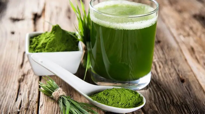 Wheatgrass Powder Health Benefits