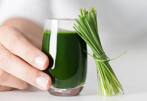 Wheatgrass Powder Health Benefits